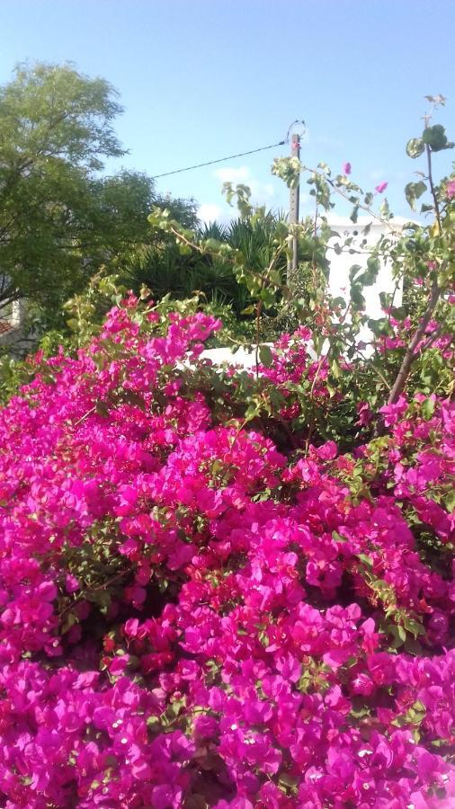 Pensao Algarve Bed & Breakfast Сао Брас де Алпортел Екстериор снимка